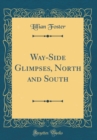Image for Way-Side Glimpses, North and South (Classic Reprint)
