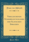 Image for Vergleichende Stammbildungslehre der Slavischen Sprachen (Classic Reprint)