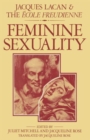 Image for Feminine sexuality  : Jacques Lacan and the âecole freudienne