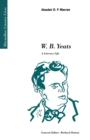 Image for W.B. Yeats  : a literary life