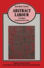 Image for Abstract Labour: A Critique