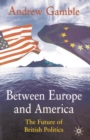 Image for Between Europe and America  : the future of British politics