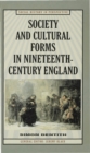Image for Society and Cultural Forms in Nineteenth Century England