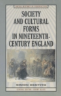 Image for Society and cultural forms in nineteenth century England
