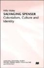 Image for Salvaging Spenser  : colonialism, culture and identity