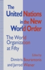 Image for The United Nations in the New World Order