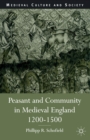 Image for Peasant and Community in Medieval England, 1200-1500