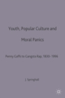 Image for Youth, Popular Culture and Moral Panics