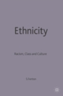 Image for Ethnicity  : racism, class and culture