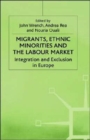 Image for Migrants, ethnic minorities and the labour market  : integration and exclusion in Europe