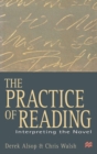 Image for The practice of reading  : interpreting the novel