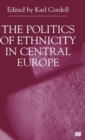 Image for The politics of ethnicity in central Europe