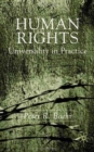 Image for Human rights  : universality in practice