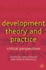 Image for Development theory and practice  : critical perspectives