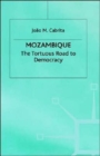 Image for Mozambique  : the tortuous road to democracy