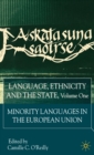 Image for Language, ethnicity and the stateVol. 1: Minority languages in the European Union