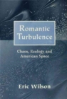 Image for Romantic Turbulence