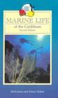 Image for Marine life of the Caribbean