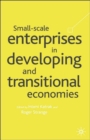 Image for Small Scale Enterprises in Developing and Transitional Economies
