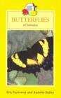 Image for Butterflies of Jamaica