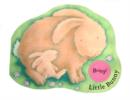 Image for Noisy Farm Babies:Little Bunny
