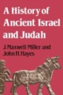 Image for A history of ancient Israel and Judah