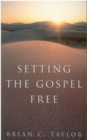 Image for Setting the Gospel Free : Experiential Faith and Contemplative Practice