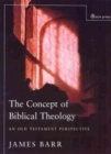 Image for Concept of Biblical Theology : An Old Testament Perspective