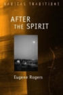 Image for After the spirit  : a constructive pneumatology from resources outside the west
