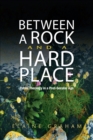 Image for Between a Rock and a Hard Place : Public Theology in a Post-Secular Age