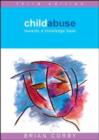 Image for Child abuse  : towards a knowledge base