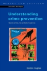Image for Understanding crime prevention: social control, risk and late modernity