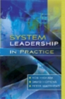 Image for System leadership in practice