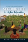 Image for A Practical Guide to Using Second Life in Higher Education