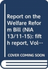 Image for Report on the Welfare Reform Bill (NIA 13/11-15)
