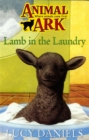 Image for Lamb in the laundry