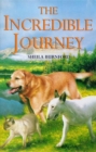 Image for The Incredible Journey