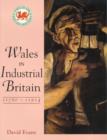 Image for Wales in Industrial Britain 1760-1914