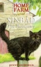 Image for Sinbad  : the runaway