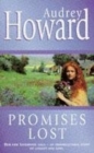 Image for Promises lost
