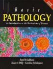 Image for Basic pathology  : an introduction to the mechanisms of disease