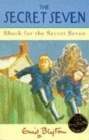 Image for Shock for the Secret Seven