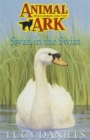 Image for Swan In The Swim