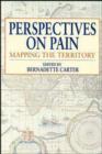 Image for Perspectives on Pain