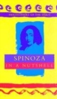 Image for Spinoza in a Nutshell