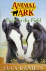 Image for Foals in the Field