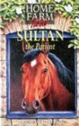 Image for Sultan  : the patient