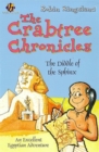 Image for Crabtree Chronicles 4 The Diddle Of The Sphinx