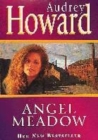 Image for Angel meadow