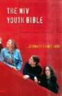 Image for NIV Youth Bible